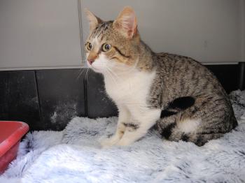 Jeronimo Bild von Jeronimo