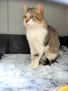 Jeronimo Bild von Jeronimo