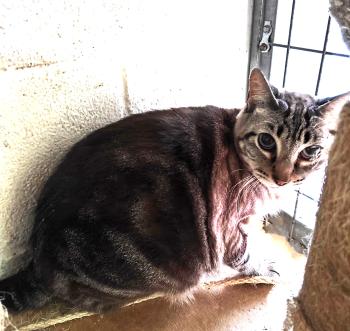 Babette Bild von Babette