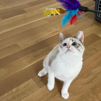 Bild von Alana