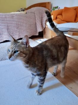Telma Bild von Telma