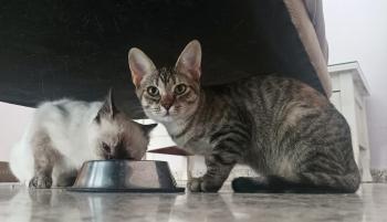 Telma Bild von Telma
