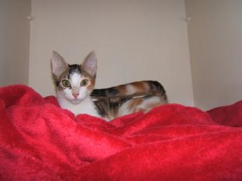 Frida Bild von Frida