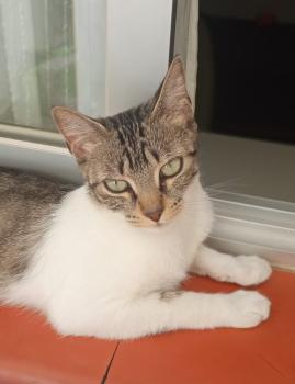 Nubia Bild von Nubia