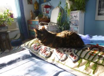 Rosalind Bild von Rosalind