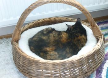 Rosalind Bild von Rosalind