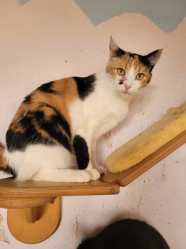 Nina Bild von Nina