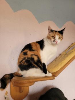 Nina Bild von Nina