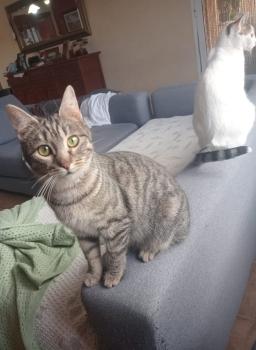 Fernanda Bild von Fernanda