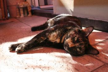 Bild von Tina