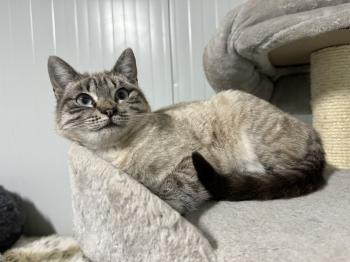 Helga Bild von Helga