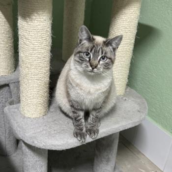 Helga Bild von Helga