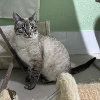 Helga Bild von Helga