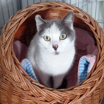 Minnie Bild von Minnie