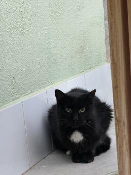 Willie Bild von Willie