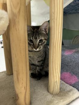 Telma Bild von Telma