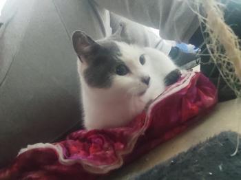 Minnie Bild von Minnie