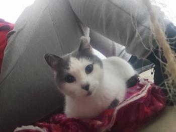 Minnie Bild von Minnie