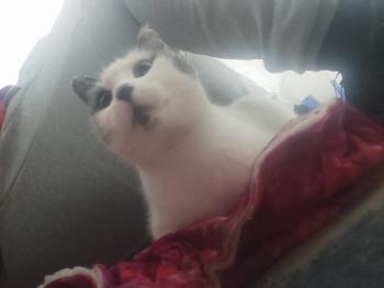 Minnie Bild von Minnie