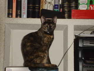 Carleta Bild von Carleta