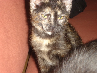 Carleta Bild von Carleta