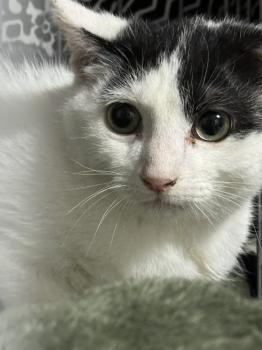 Coby Bild von Coby