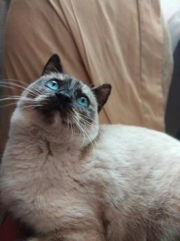 Sofia Bild von Sofia