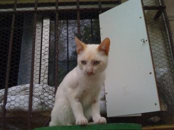 Bild von Tango
