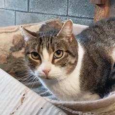 Oscar Bild von Oscar