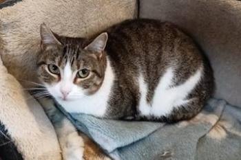 Oscar Bild von Oscar