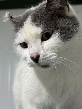 Minnie Bild von Minnie