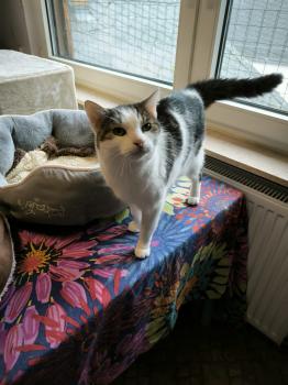 Nala Bild von Nala