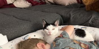 Fabio Bild von Fabio