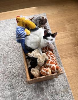Fabio Bild von Fabio