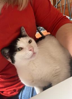 Fabio Bild von Fabio