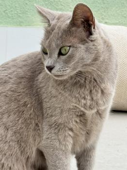 Tess Bild von Tess