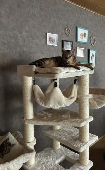 Pin Bild von Pin