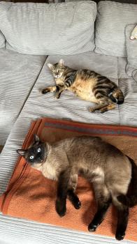 Pin Bild von Pin
