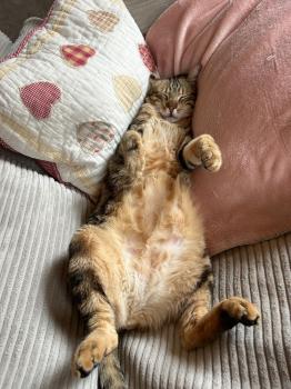 Pin Bild von Pin