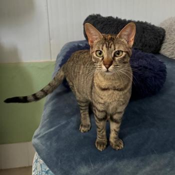 Telma Bild von Telma