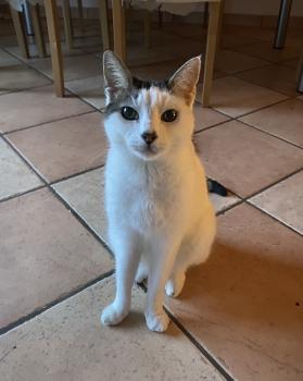 Bild von Indira