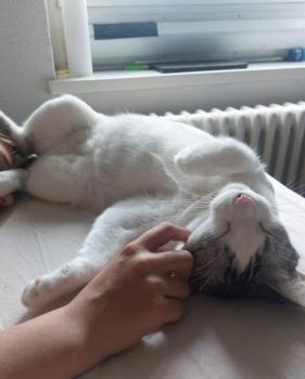Duki Bild von Duki