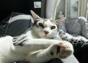 Duki Bild von Duki