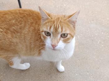 Oliver Bild von Oliver