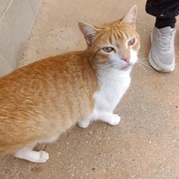 Oliver Bild von Oliver