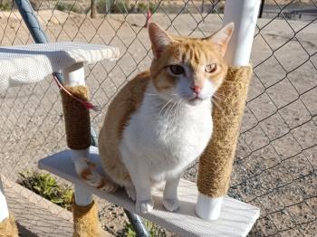 Oliver Bild von Oliver
