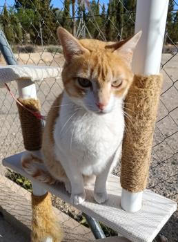 Oliver Bild von Oliver
