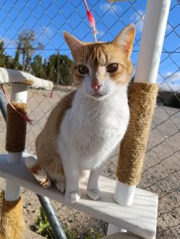 Oliver Bild von Oliver