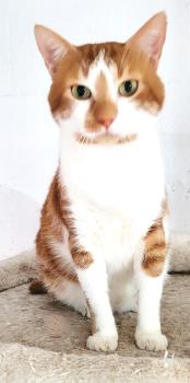 Bild von Masao