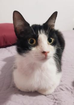 Conny Bild von Conny